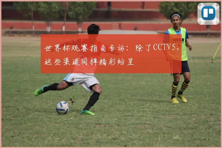 世界杯观赛指南专访：除了CCTV5，这些渠道同样精彩纷呈
