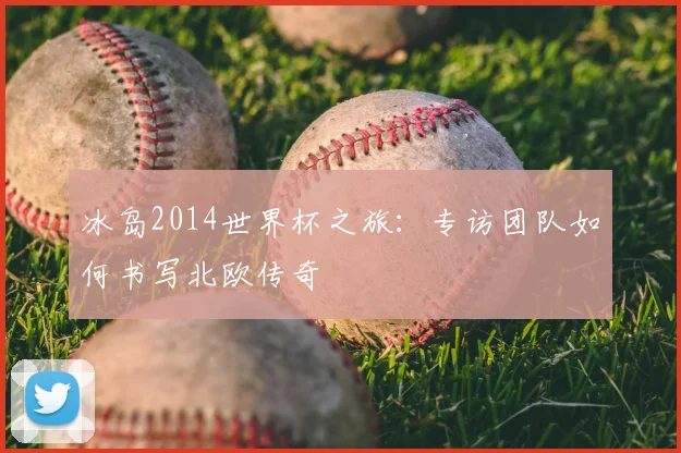 冰岛2014世界杯之旅：专访团队如何书写北欧传奇