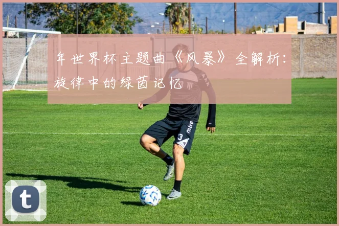 年世界杯主题曲《风暴》全解析：旋律中的绿茵记忆