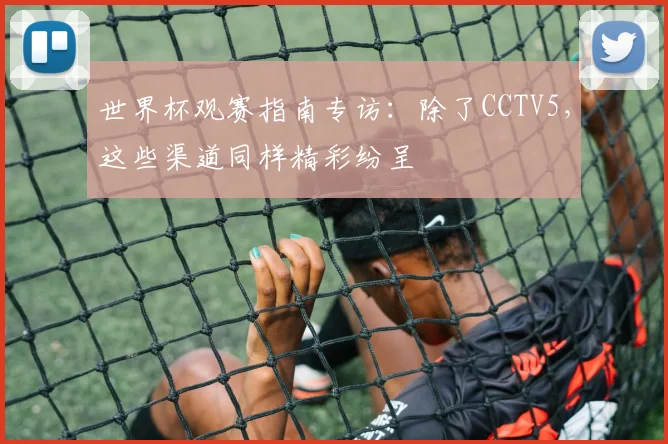 世界杯观赛指南专访：除了CCTV5，这些渠道同样精彩纷呈