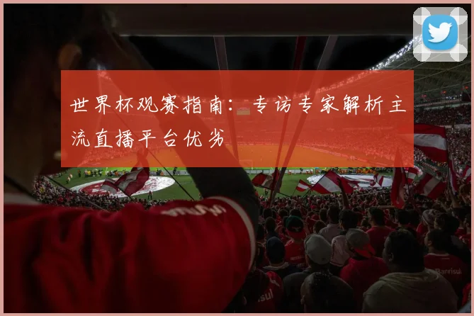 世界杯观赛指南：专访专家解析主流直播平台优劣