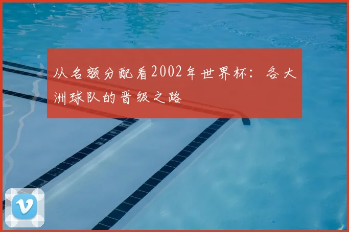 从名额分配看2002年世界杯：各大洲球队的晋级之路