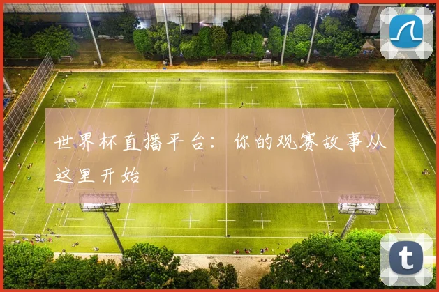 世界杯直播平台：你的观赛故事从这里开始