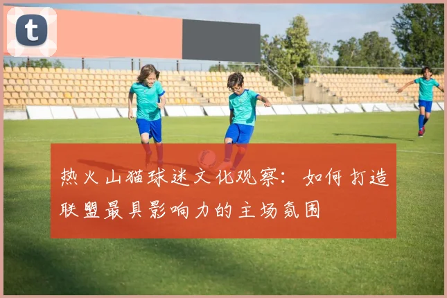 热火山猫球迷文化观察：如何打造联盟最具影响力的主场氛围